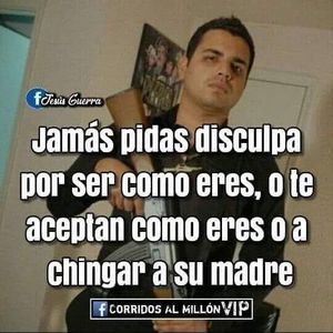 Meet your Posher, Pablo